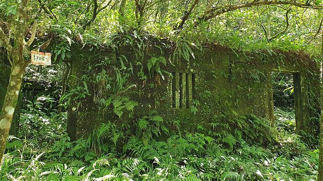 【淡兰中路】楼仔厝古道+虎豹潭古道百年山径健行