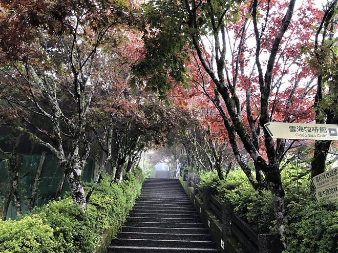 宜兰太平山森林一日游｜蹦蹦车、见晴步道、鸠之泽温泉