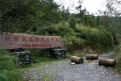 宜兰太平山山毛榉步道．金黄秘径一日游｜台北出发