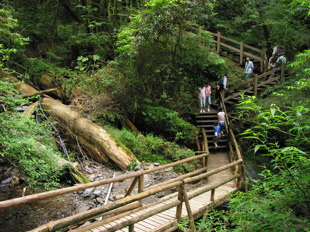 宜兰明池森林×马告神木园二日游｜入住明池山庄