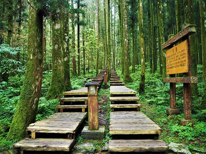 宜兰明池森林×马告神木园二日游｜入住明池山庄