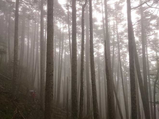 雪山主东峰2天2夜登山团｜夜宿369山庄｜雪山圈谷&黑森林
