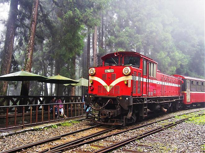 2025-26阿里山元旦迎日出｜跨年限定．夜未眠专车