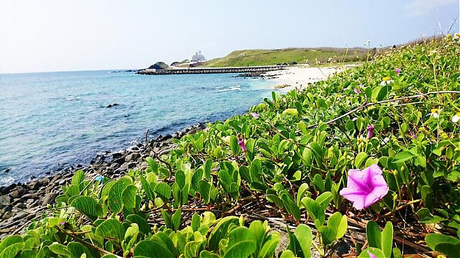 澎湖七美一日游｜浮潜、独木舟２选１｜岛上机车自由行