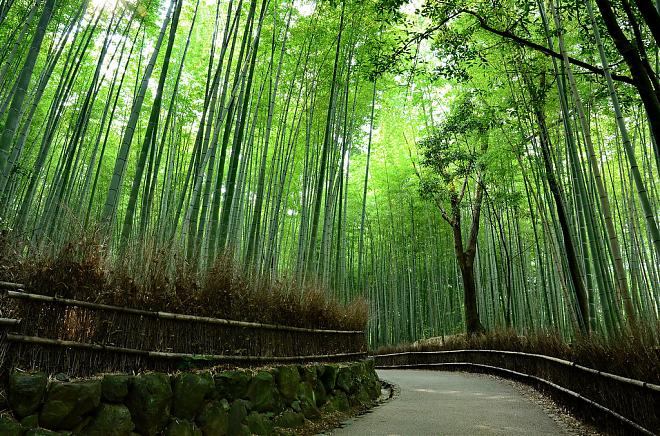 嵯峨岚山漫游 – 屋形船美食之旅
