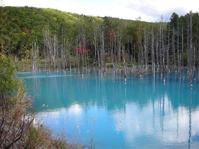 【北海道赏枫】旭岳・黒岳追枫二日游