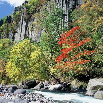 【北海道赏枫】旭岳・黒岳追枫二日游