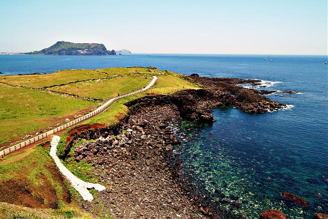 济州岛油菜花暖心之旅