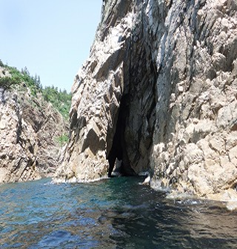 鸟取|浦富海岸.秘密洞窟独木舟体验 初心者ok