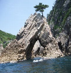 鸟取|浦富海岸.秘密洞窟独木舟体验 初心者ok