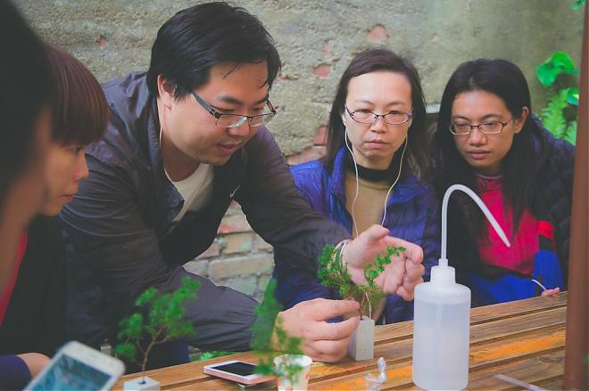 彰化市手作体验小旅行。疗愈系盆栽X中药行DIY