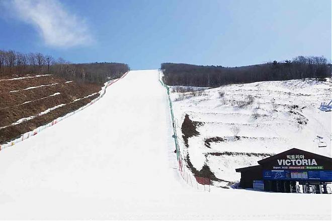韩国江原道High 1滑雪4日游滑雪祭GOGOSKI（首尔出发/中文服务/五星饭店3晚）