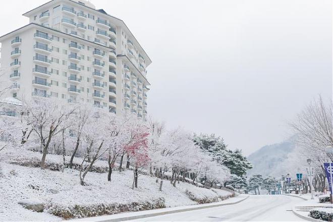 初级滑雪2日游|江村Elysian伊利希安渡假村