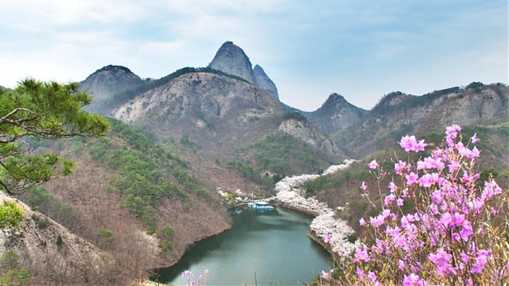 首尔出发|2025全州马耳山八重樱花+韩服体验一日游