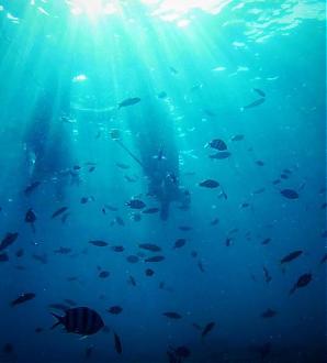 澎湖浮潜体验．海底邮筒寄明信片