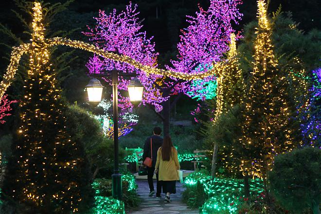 首尔抱川消暑一日游｜采蓝莓尝蓝莓刨冰+Art Valley+香草岛乐园夜灯节