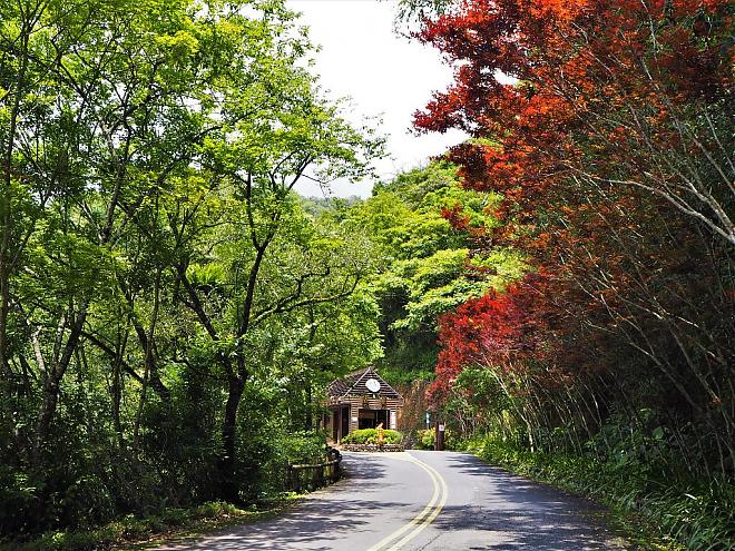宜兰栖兰马告神木X太平山翠峰湖二日游｜入住栖兰山庄