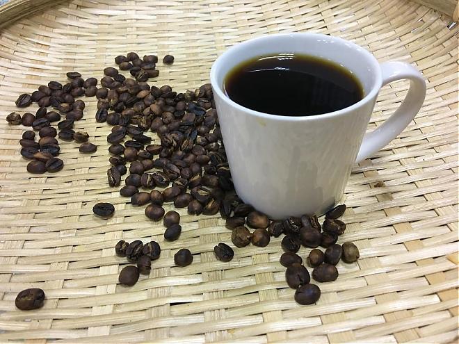 阿里山森林＆隙顶茶园＆不插电手作咖啡二日游｜入住阿里山