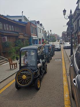 开港场街复古叮叮车x海岸列车x海鸥喂食 一日游