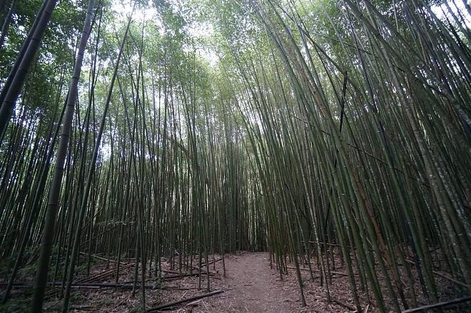 新竹霞喀罗古道两天一夜．A进B出野营团｜清泉→养老