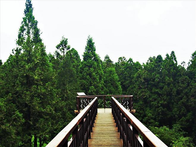 阿里山小火车X祝山线日出二日行程｜入住阿里山园区