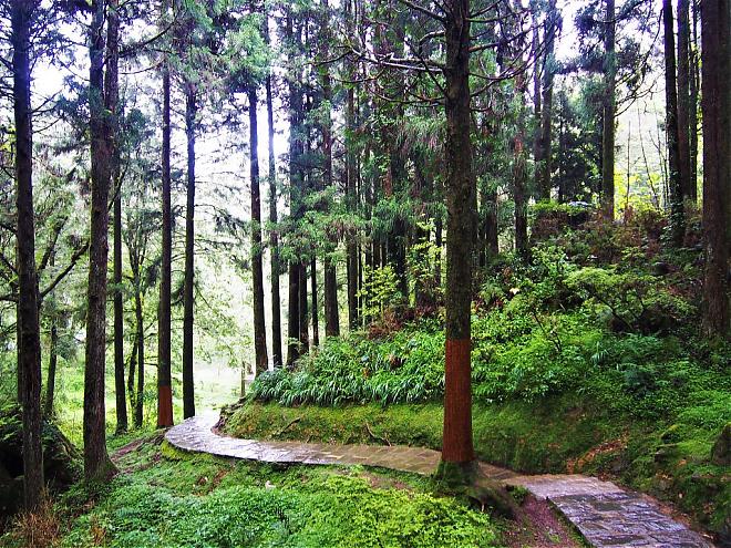 阿里山日出＆日月潭游湖二日游 ｜入住阿里山园区