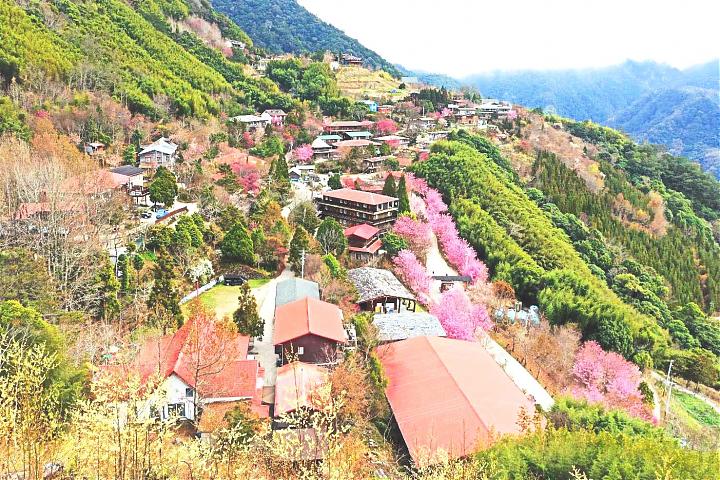 新竹司马库斯两天一夜｜探秘上帝的部落｜神木步道健行