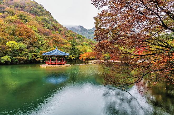 韩国全罗道内藏山赏枫一日游｜韩国第一枫叶山