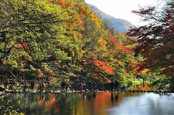 韩国全罗道内藏山赏枫一日游｜韩国第一枫叶山