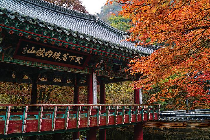 韩国全罗道内藏山赏枫一日游｜韩国第一枫叶山