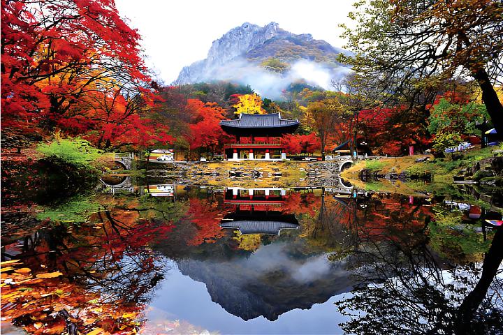 韩国全罗道内藏山赏枫一日游｜韩国第一枫叶山