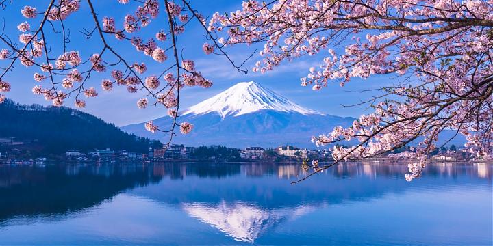 箱根・河口湖一日游|上野.品川出发