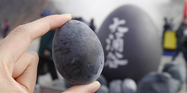 箱根・河口湖一日游|上野.品川出发