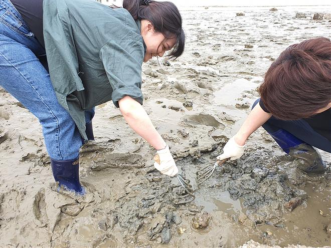 仁川永宗岛高空滑索x海岸铁道自行车x舞衣岛屿体验一日游