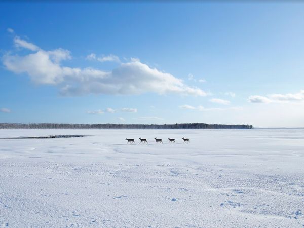 北海道野付半岛｜漫步世界尽头(东北海道Express巴士方案)