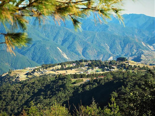 台中武陵农场X福寿山二日游｜入住梨山宾馆