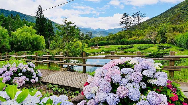 武陵农场＆桃山瀑布二日游｜一泊四食．入住富野渡假村