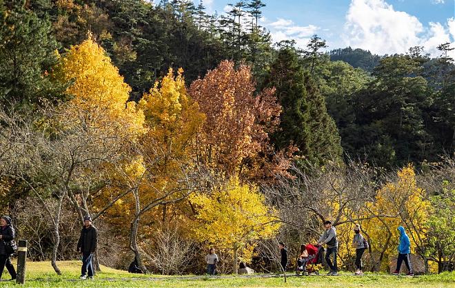 武陵农场＆桃山瀑布二日游｜一泊四食．入住富野渡假村