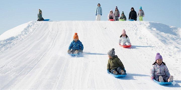 北海道亲子冬日小旅行｜美瑛富良野5日