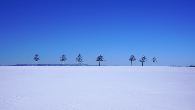 北海道道东交通巴士｜9号 宇登吕→摩周→阿寒→北见・网走