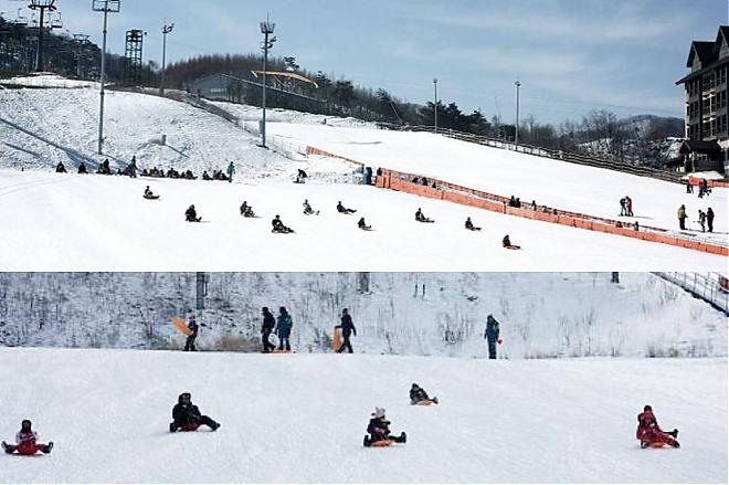 平昌ALPENSIA滑雪场二日游．含牧场体验及采草莓