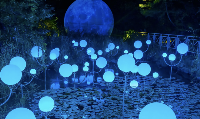 橡树谷Oak Valley滑雪×3D森林灯光庆典一日游