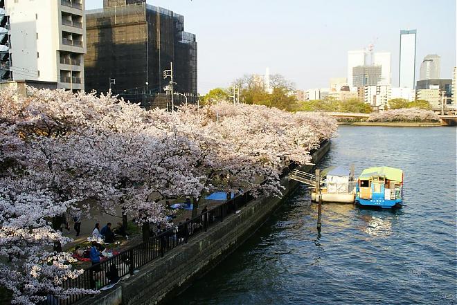 2020大阪赏樱季｜浪漫游览船大阪赏樱之旅