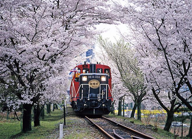 岚山一日游|嵯峨野小火车x保津川游船|大阪.京都出发
