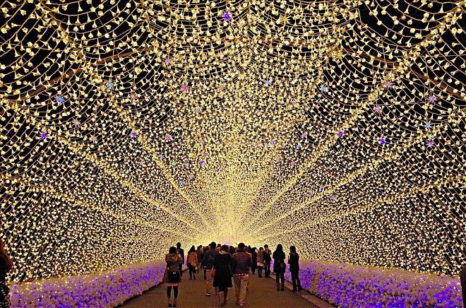 【名古屋出发】名花之里点灯＋御在所树冰一日游