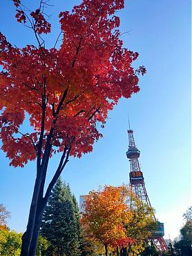 【北海道必去】札幌电视塔展望台门票