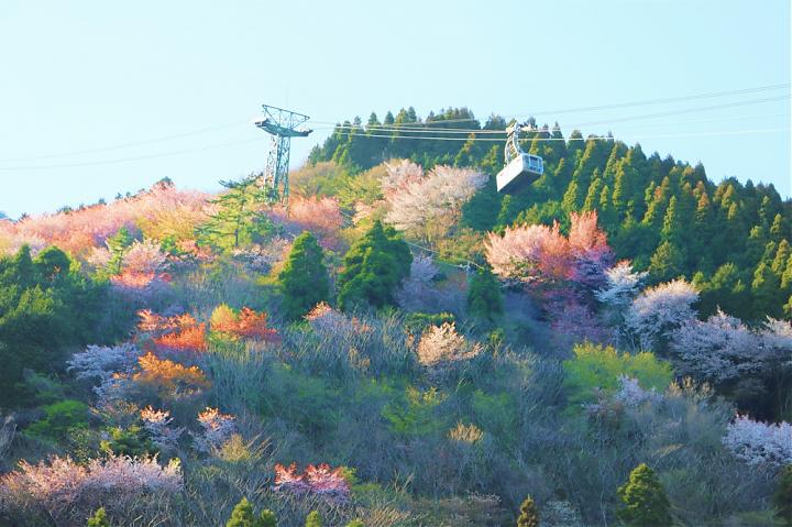 九州大分经典一日游_太宰府・汤布院・别府(中文/福冈)