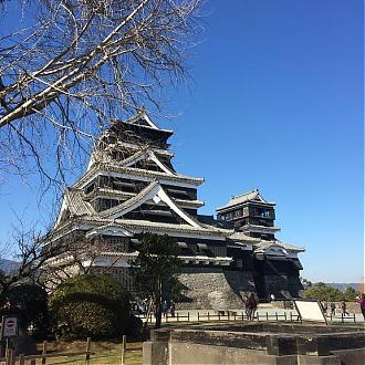 福冈出发|九州熊本一日游 熊本城.阿苏火山.阿苏卡德利动物乐园(中文服务)