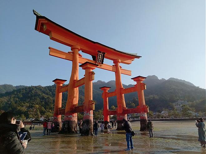 【日本赏樱】广岛．鸟取．绝景樱花隧道六日