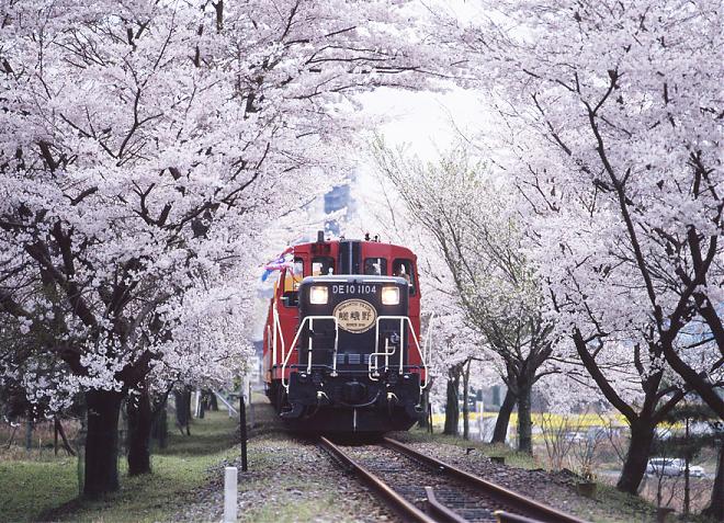 【大阪出发】京都岚山火车・温泉・赏樱一日游